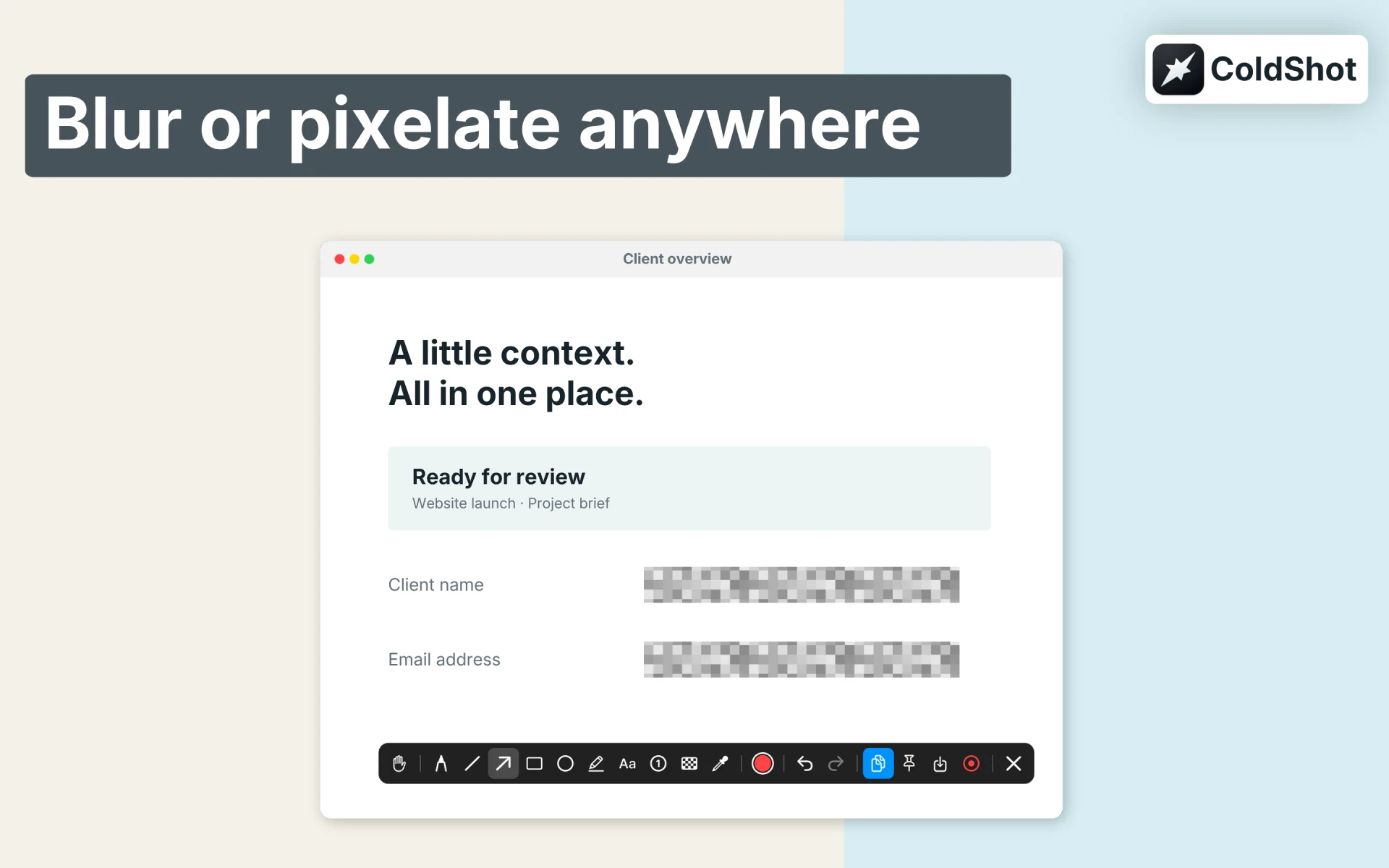 ColdShot pixelating a client name and email address before sharing a screenshot.
